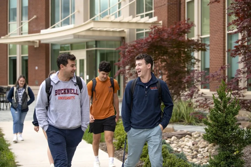 Mentorship Case Studies Mentor Collective